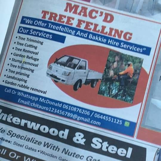 4. Tree Felling
